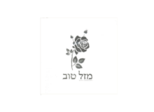 מפיות נייר מזל טוב 16 יח' - כיתוב כסף